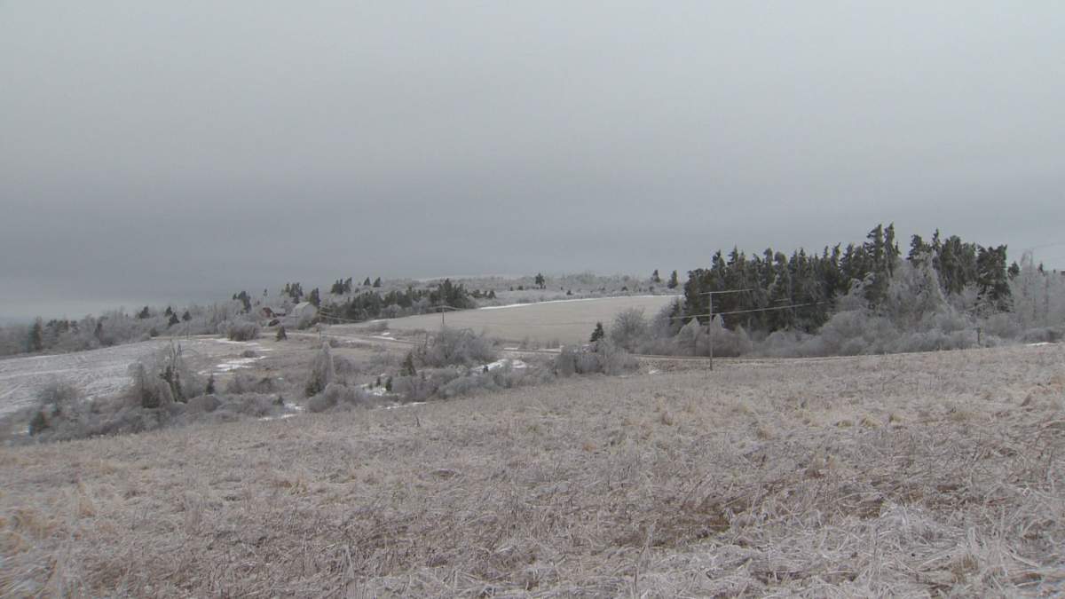 NB emergency officials urge safety during power outage after ice storm ...