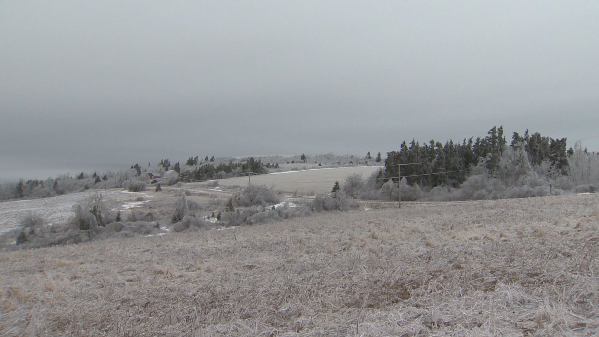 Ice coats the ground in New Brunswick after an ice storm swept through the province early this week.