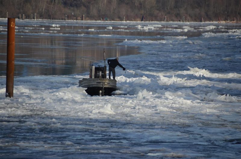 Man rescued from icy Fraser River by Langley firefighters - image