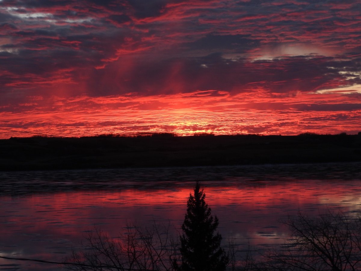 Jan. 31: This Your Saskatchewan photo was taken by Linda Phillips near Last Mountain Lake.