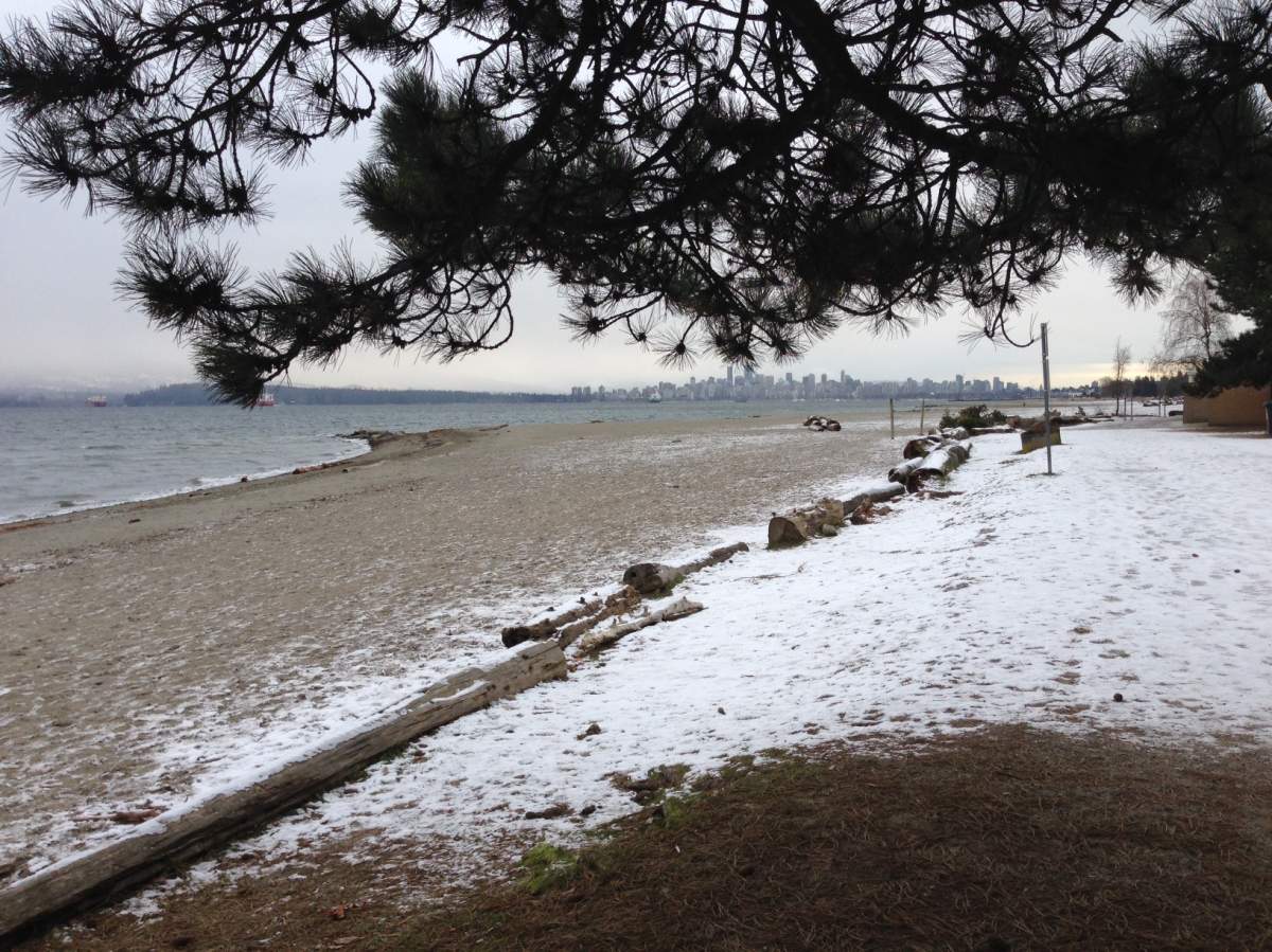 Sand may be free and available at Vancouver beaches, but there is a bylaw in place against removing it. 