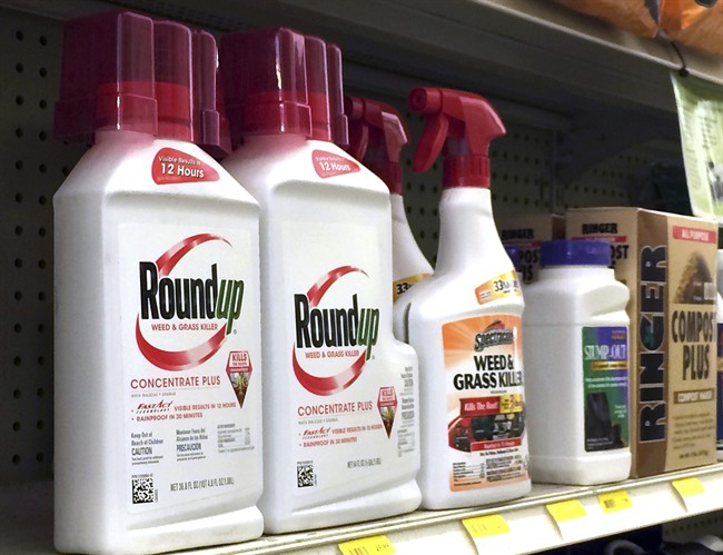 Containers of Roundup, left, a weed killer is seen on a shelf with other products for sale , Jan. 26, 2017.
