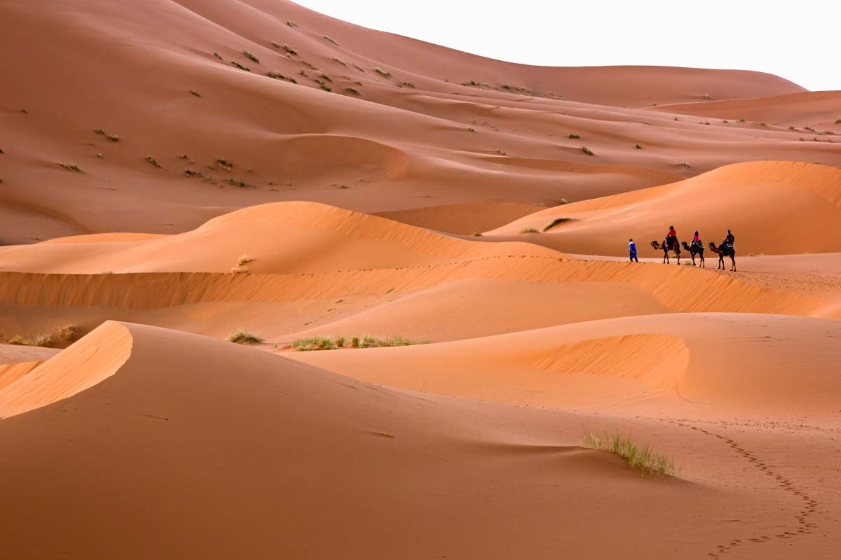 Erg Chebbi sand dune in the Sahara Desert near Merzouga, Morocco.