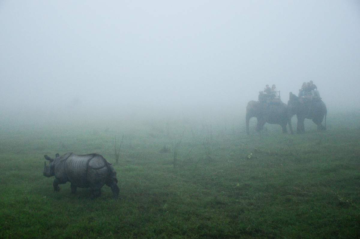 Royal Chitwan National Park, Nepal.