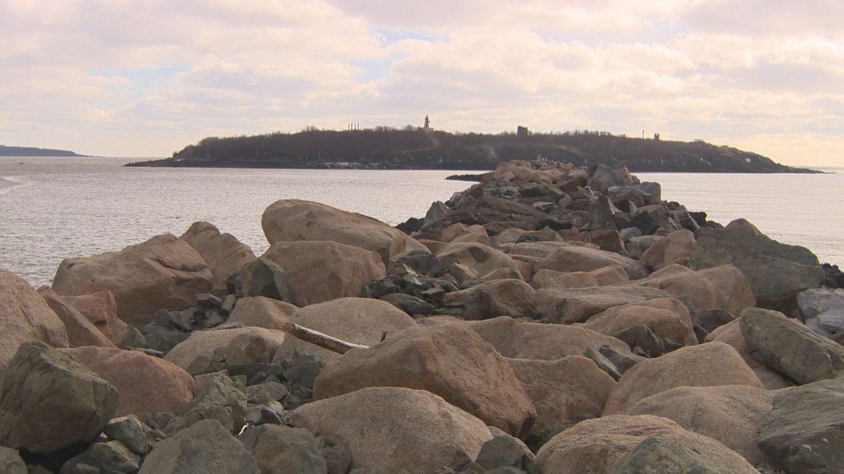 Four 11-year-olds were rescued from Partridge Island in Saint John, N.B.