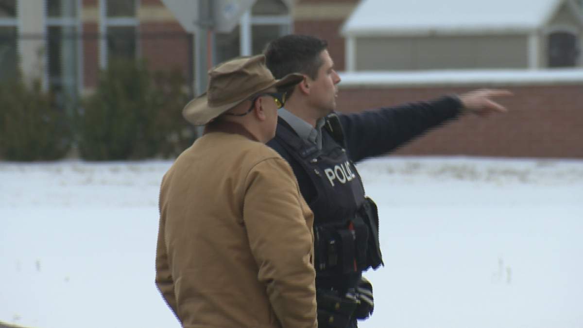 Pedestrian seriously injured after being hit on crosswalk - image