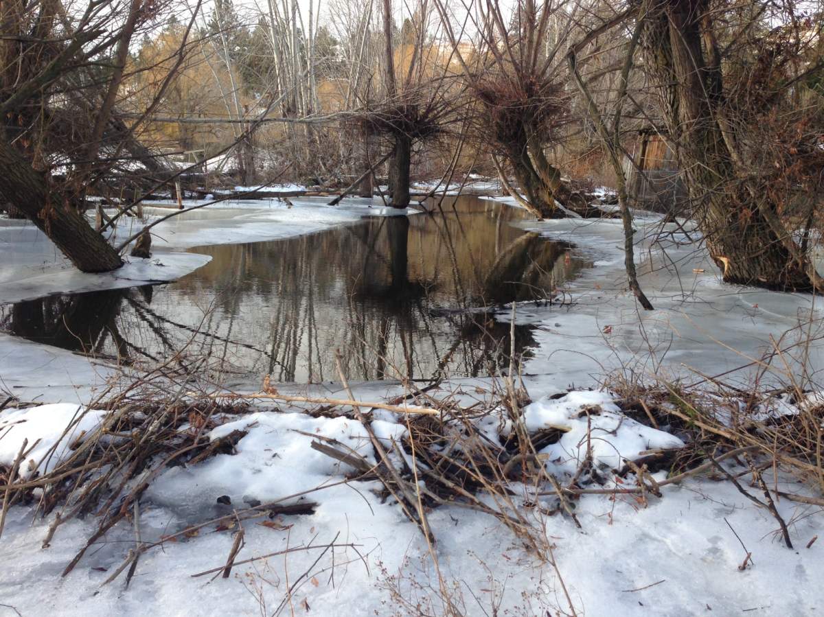Park unsafe because of beavers and warming temperatures - image