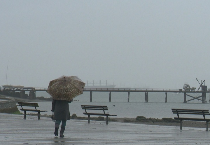 Heavy Rain Across B.C.’s South Coast Could Cause Flooding As Snow Melts ...