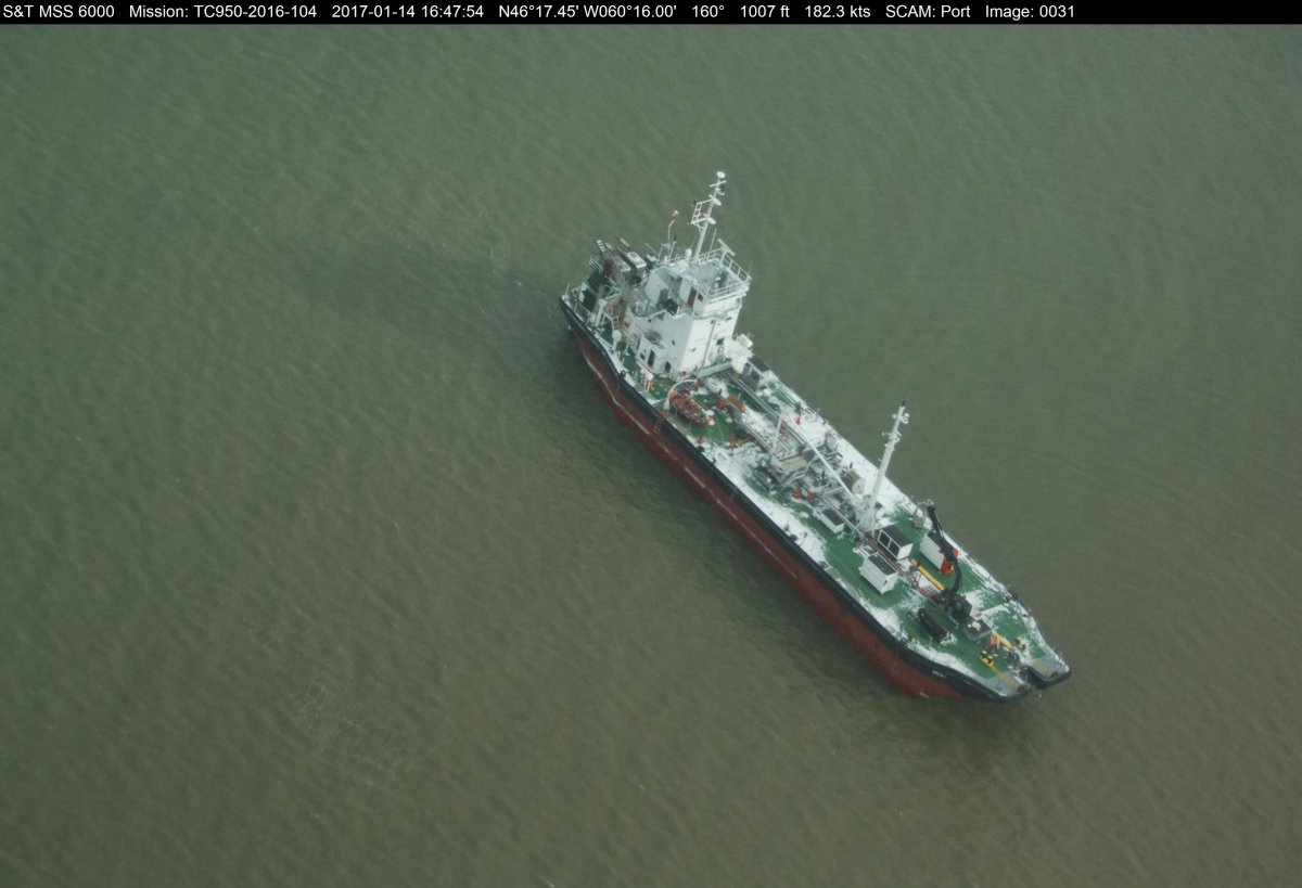 The Arca 1 went aground last Sunday off the coast of Cape Breton. 