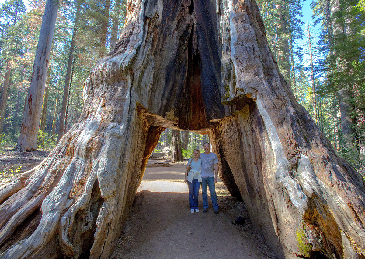 In this May 2015 photo provided by Michael Brown, John and Lesley Ripper pose in the Pioneer Cabin tunnel tree, a giant, centuries-old sequoia that had a tunnel carved into it in the 1880s, during a visit to Calaveras Big Trees State Park near Arnold, Calif., in the Sierra Nevada. (Michael Brown via AP)