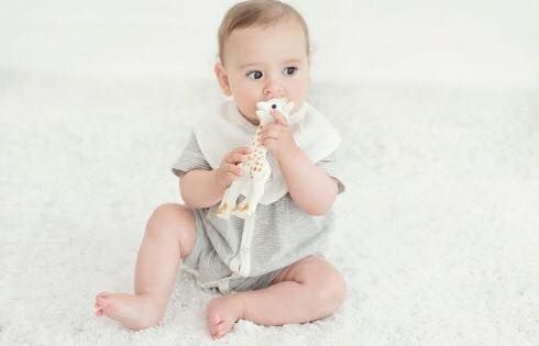 Sophie the Giraffe teethers can grow mold, it appears. Here's how that can be prevented, according to health experts.