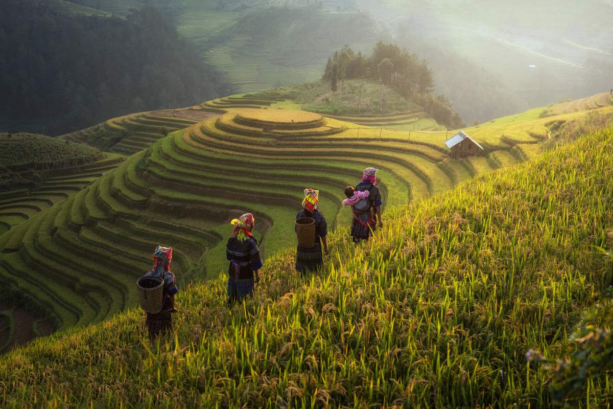 Farmers in rice fields in Mu Cang Chai, Vietnam.