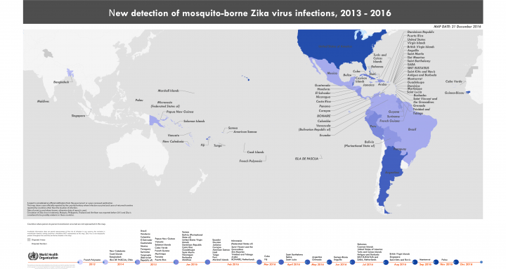 Zika virus update: Canadian cases amp; what to do to prevent it - image