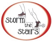 Storm the Stairs 2017 - image