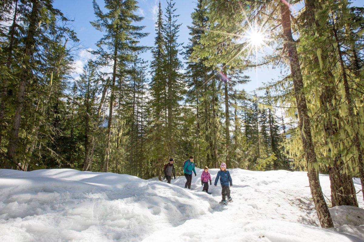 Enjoy all things winter during Family Day.