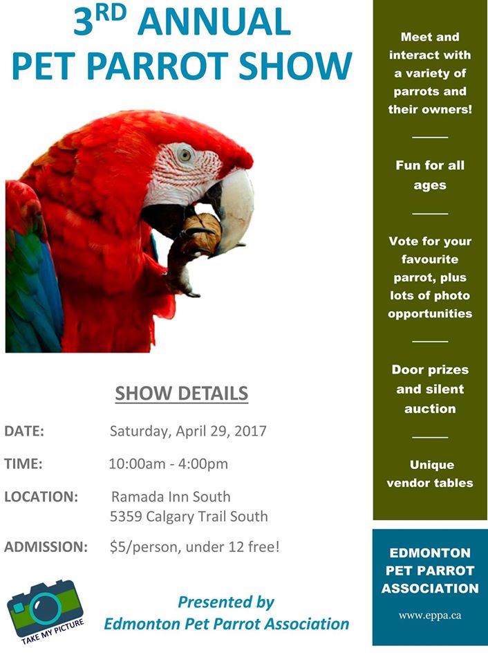Edmonton Pet Parrot Show 2017 - image