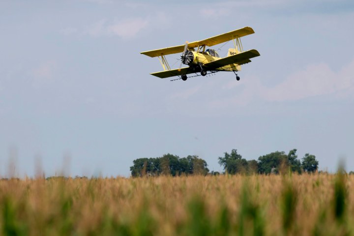 Crop duster plane crashes near Donalda in central Alberta, pilot found dead