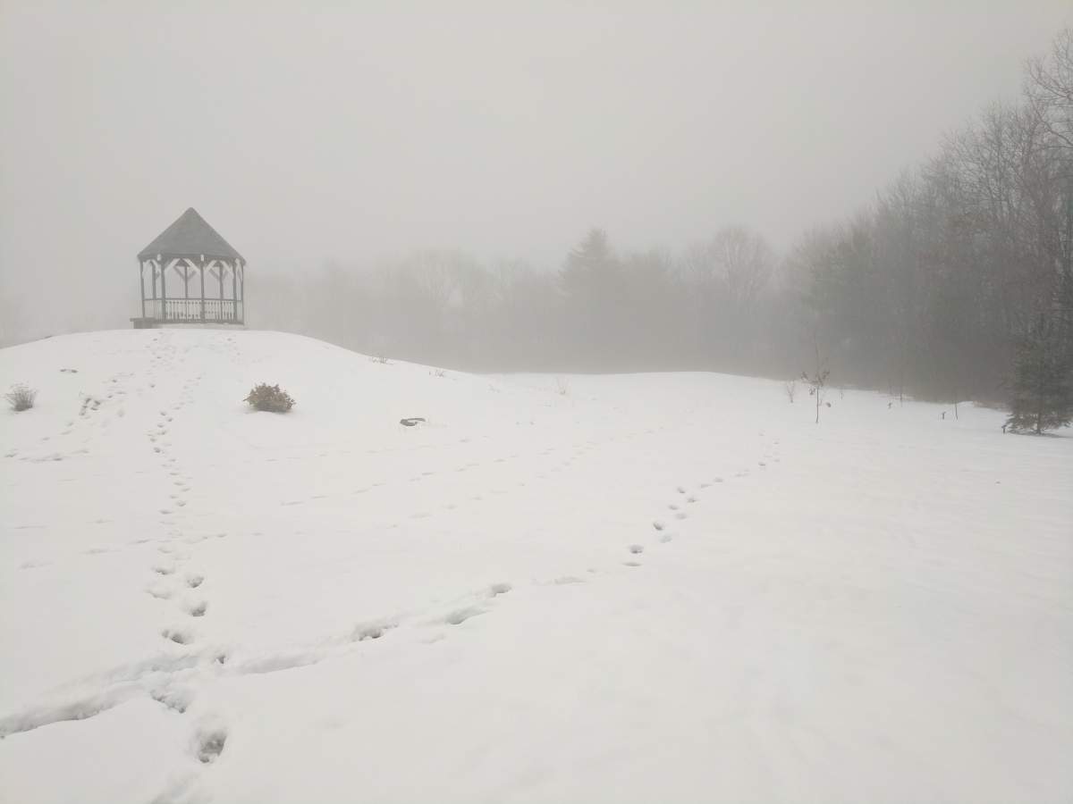 The Sackville Community Food Garden will be constructed close to this area behind Acadia Hall in Lower Sackville, N.S., pictured on Feb. 8, 2017.