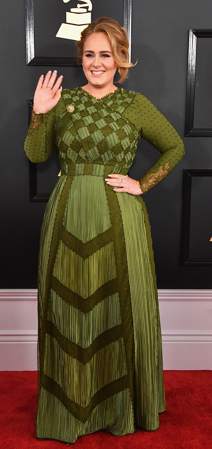 Grammy Awards 2017: Best red carpet looks - image