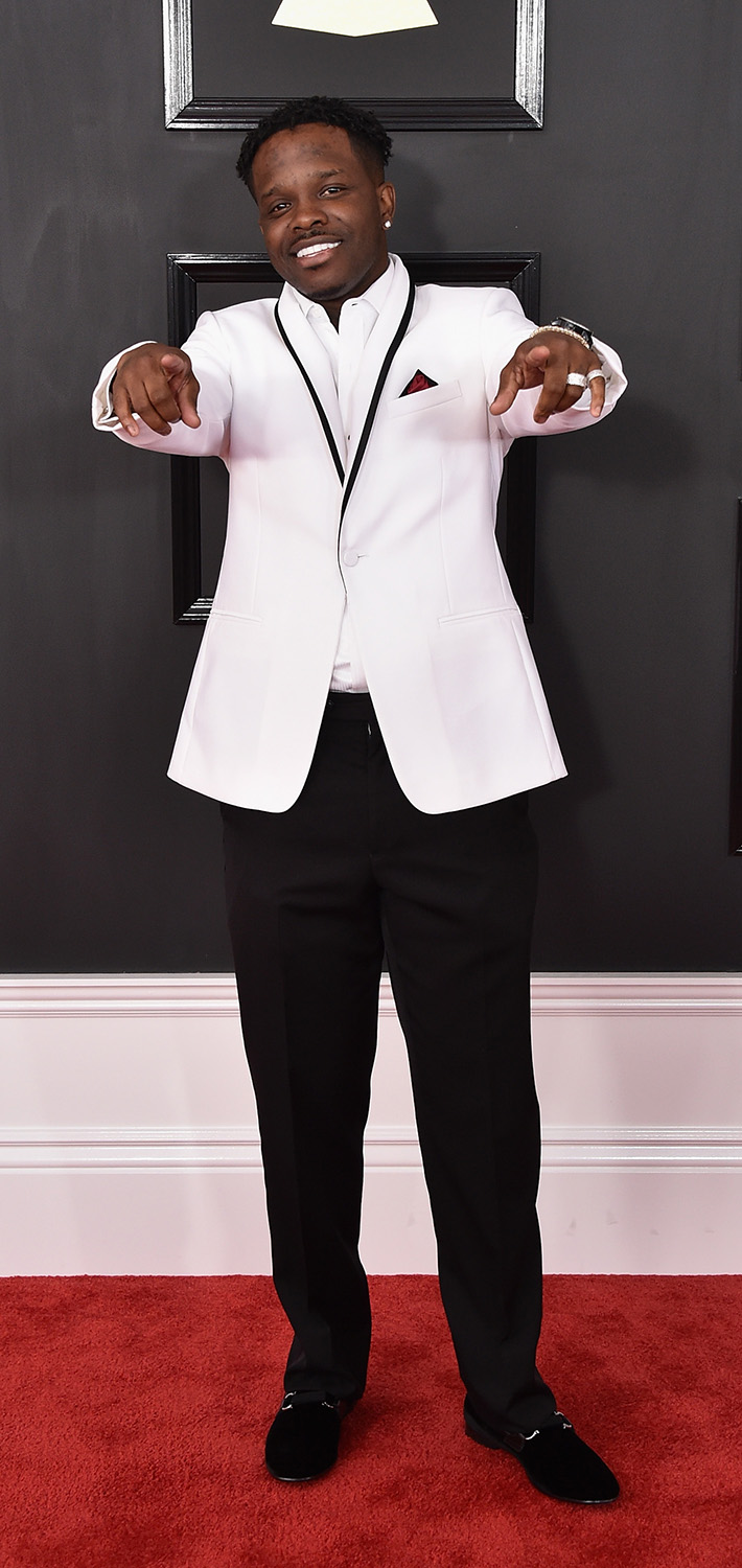 Grammy Awards 2017: Best red carpet looks - image