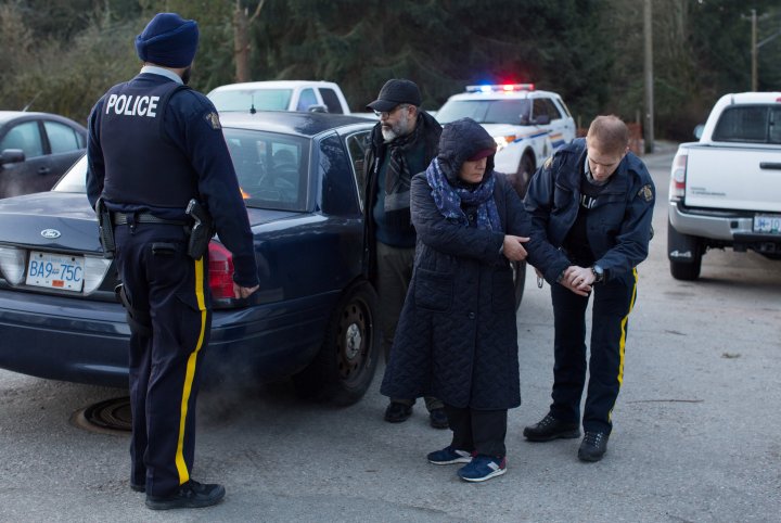 CROSSING THE BORDER INTO CANADA visual data 6