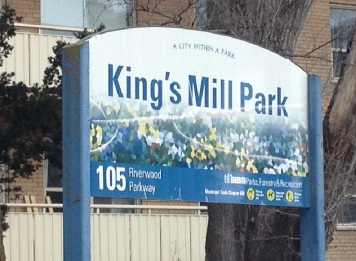 King's Mill Park is in the area where a body was found on the shore across from the Toronto Humber Yacht Club. Dave Kotyk/Files/Global News.