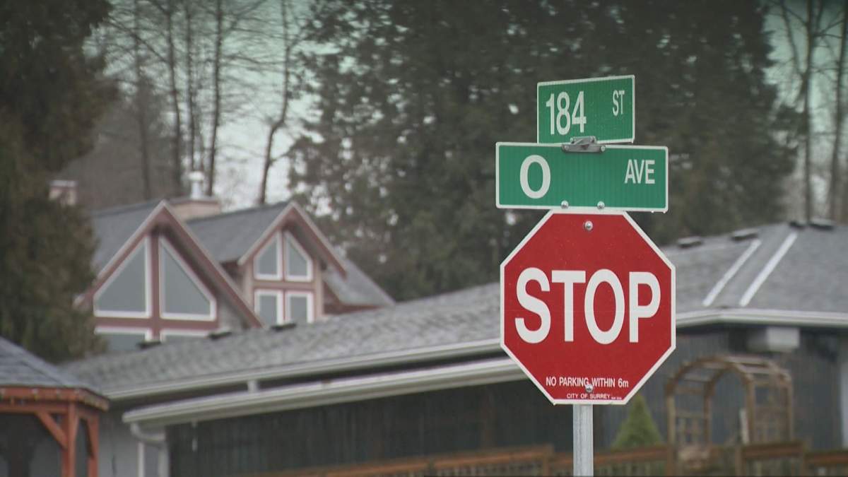 2 border jumpers stopped in Surrey - image