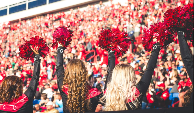 Behind the pom-poms: The life of a pro football cheerleader