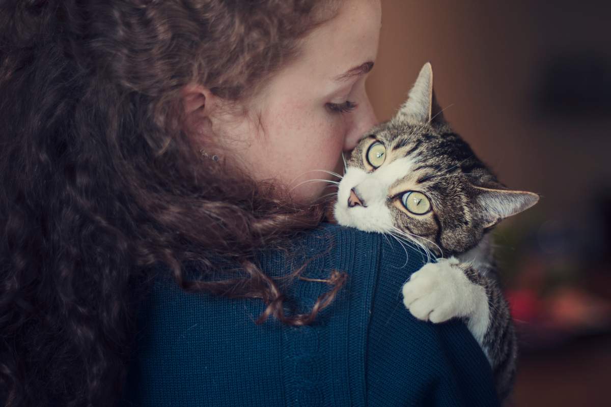 Cats are hosts of the common Taxoplasma Gondii (T. Gondii) parasite which can cause a disease called Taxoplasmosis.