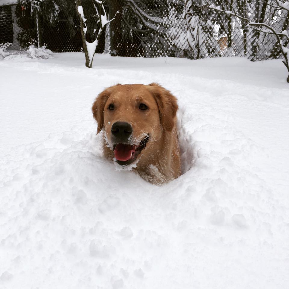 Chilliwack – Kelsi Christine