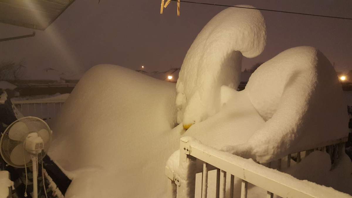 Chilliwack. Credit: Ashley Cee