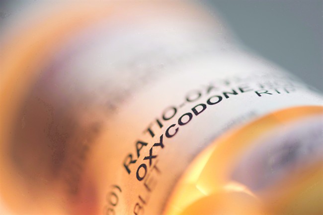Prescription pill bottle containing oxycodone and acetaminophen is shown on June 20, 2012. Young children whose mothers have been prescribed an opioid are at an increased risk of being hospitalized for an overdose from the potent pain medications, most often through accidental ingestion, a study has found. 