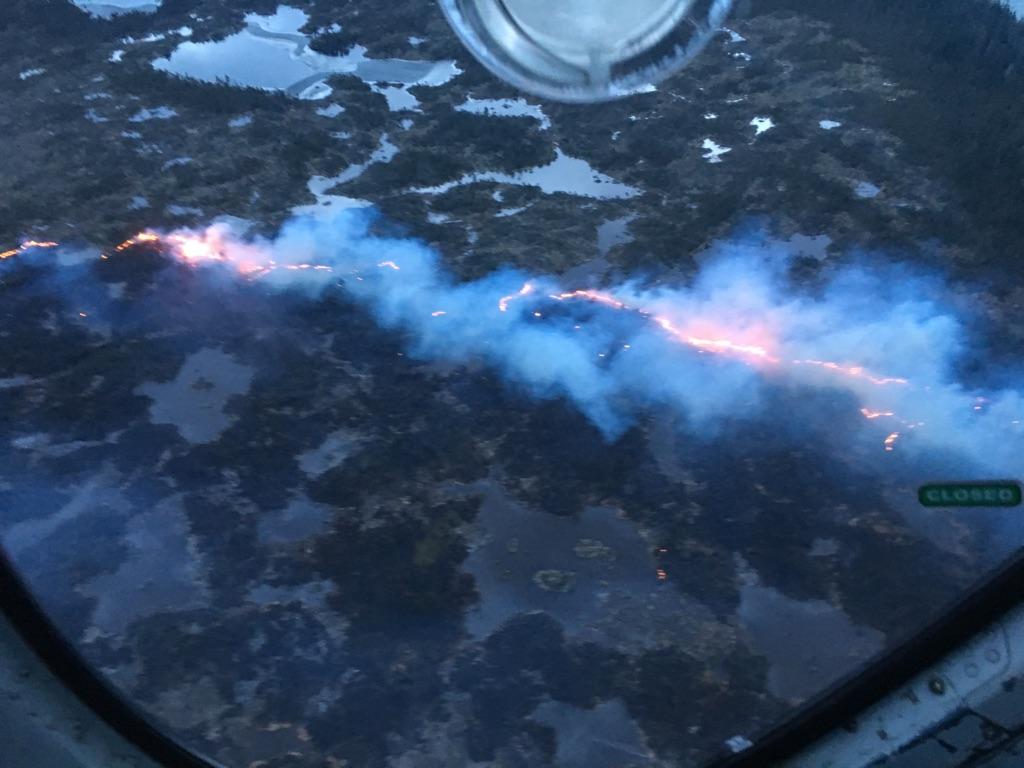 Wildfire near Bella Bella B.C., raises concern - image