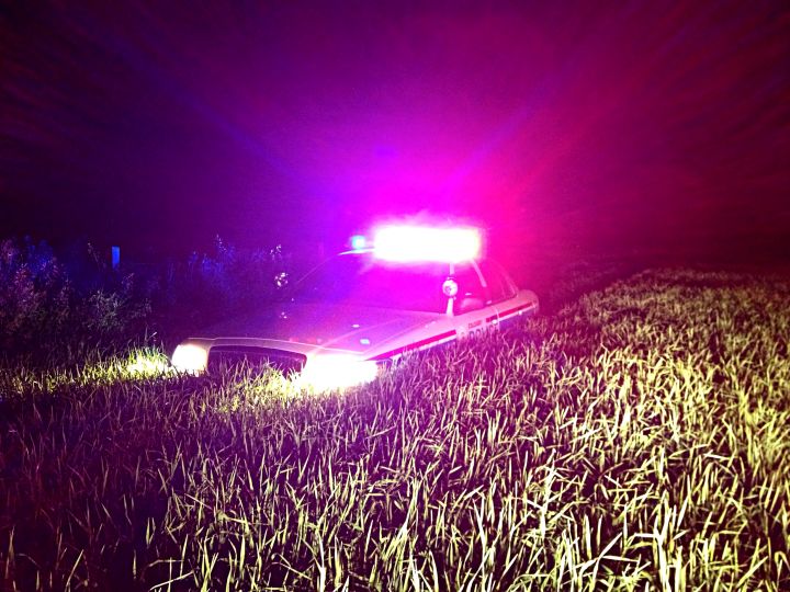 A police cruiser in the grass during the arrest of Douglas Garland.