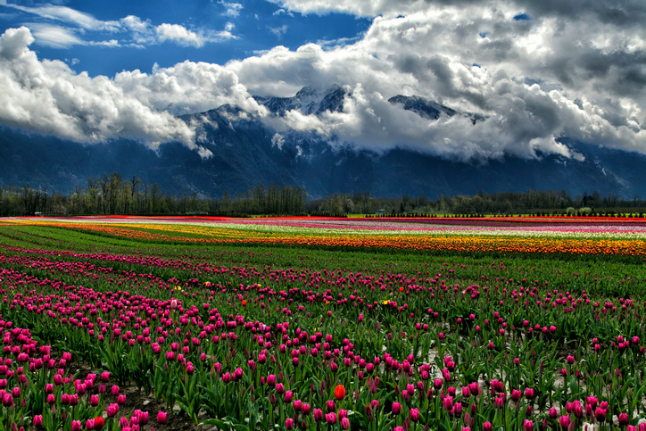 Farms in Metro Vancouver could see an almost year-round growth season by 2080.