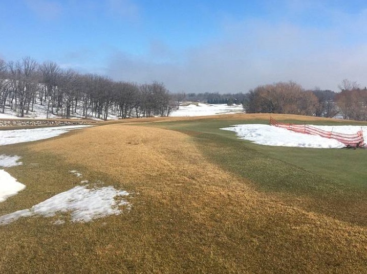 Green covers the fairways at Minnewasta Golf & Country Club in Morden, Man. on Tuesday.