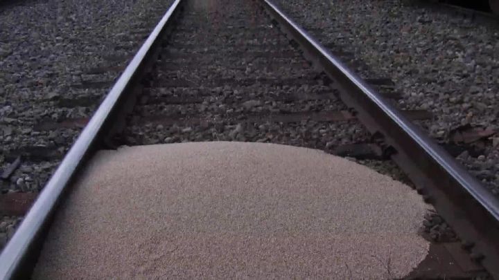 Spilled grain on train tracks