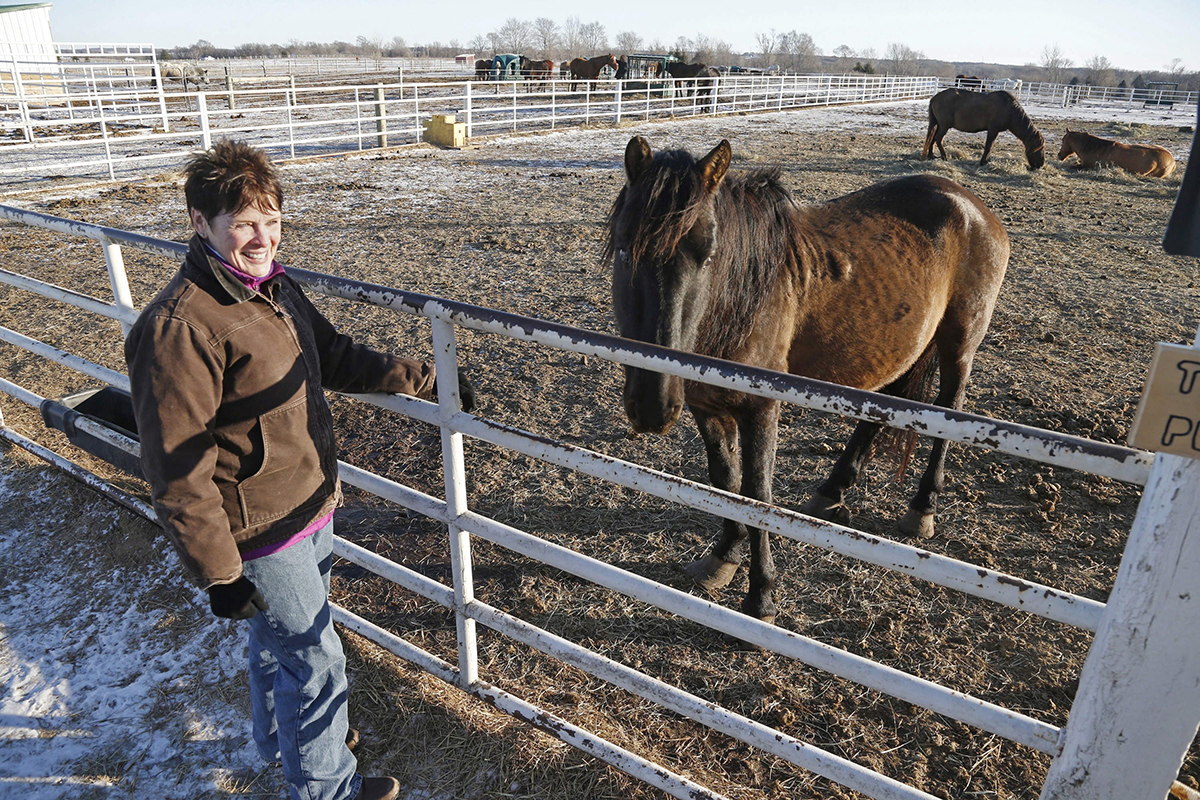 A blind stallion named Casanova stands as Nancy Turner, board president of This Old Horse rescue, poses In this Feb. 3, 2017 photo, in rural Hastings, Minn. 