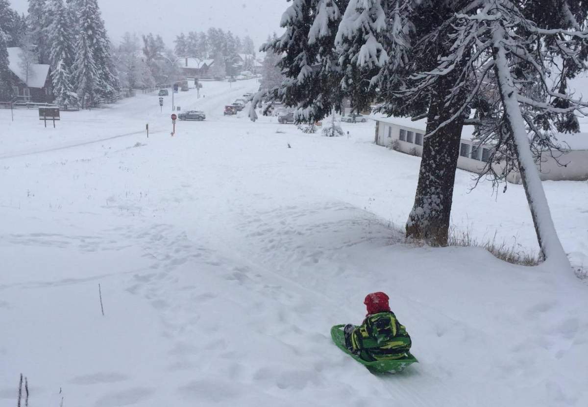 Lifelong resident Bas Byrd, 28, and his son Atreyu Byrd, 5, at popular "Church Hill" tobogganing spot in Jasper, Alta.