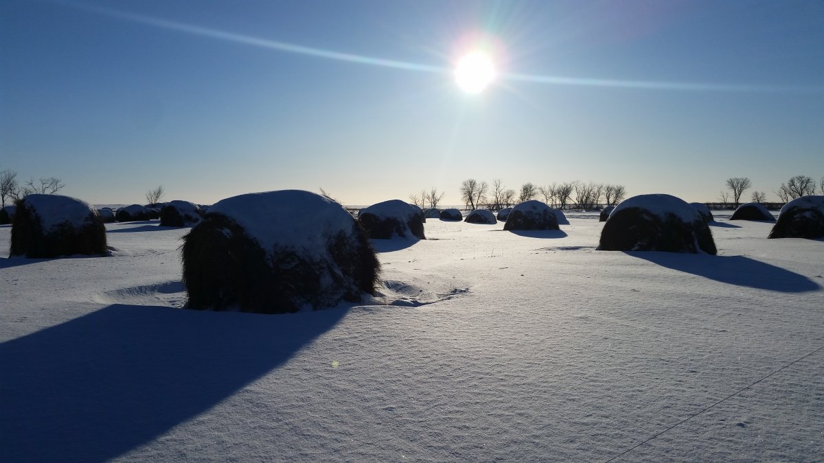 Snow covered fields in Kinesota, Manitoba.