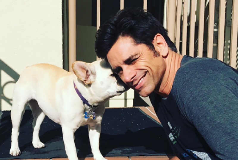 John Stamos joins forces with PETA for animal adoption ad - image