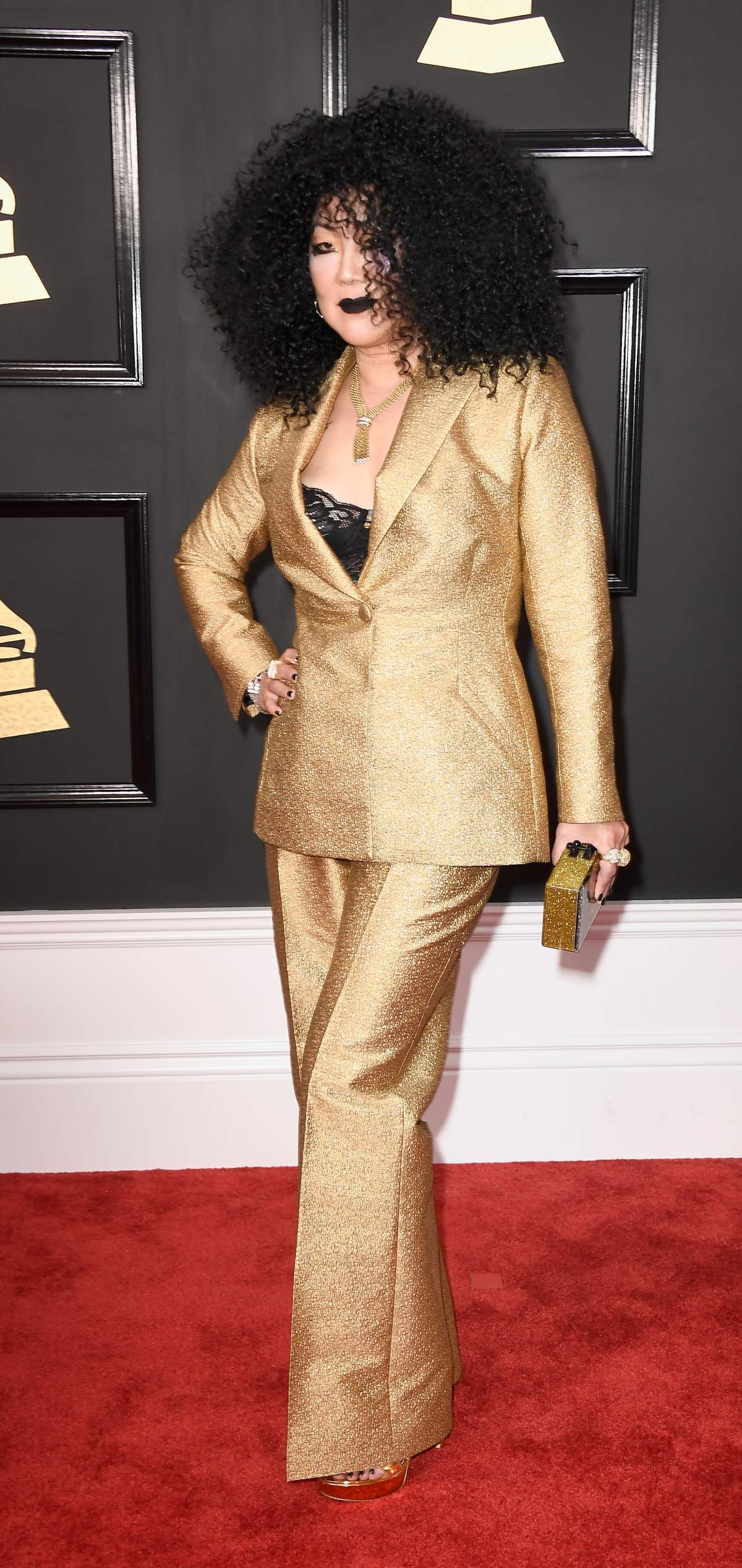 Grammy Awards 2017: Best red carpet looks - image