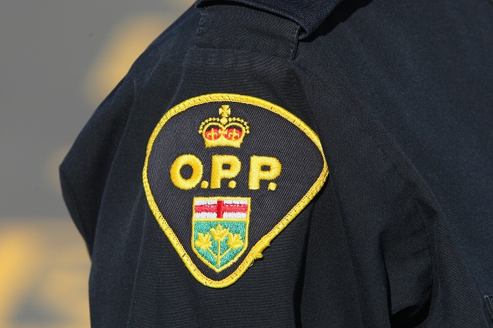 8-year-old boy dead, Toronto man charged after canoe capsizes near Bracebridge - image