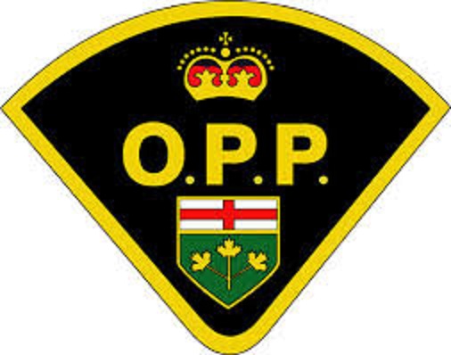 OPP are asking anyone with information about the incident to come forward.