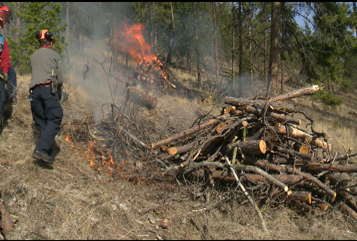 Seeing smoke? RDCO conducting controlled burn near Kelowna - image