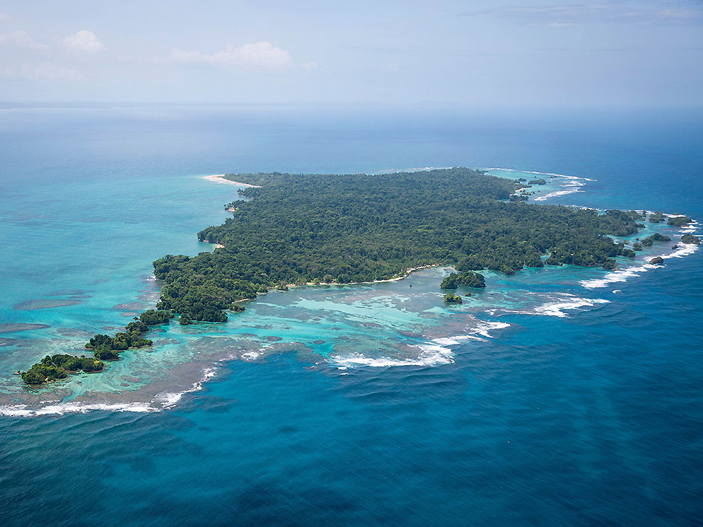 ‘Planet Earth II’ review: 9 things to know about the nature docuseries - image