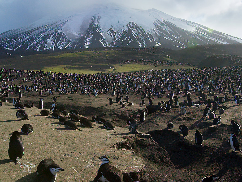 ‘Planet Earth II’ review: 9 things to know about the nature docuseries - image