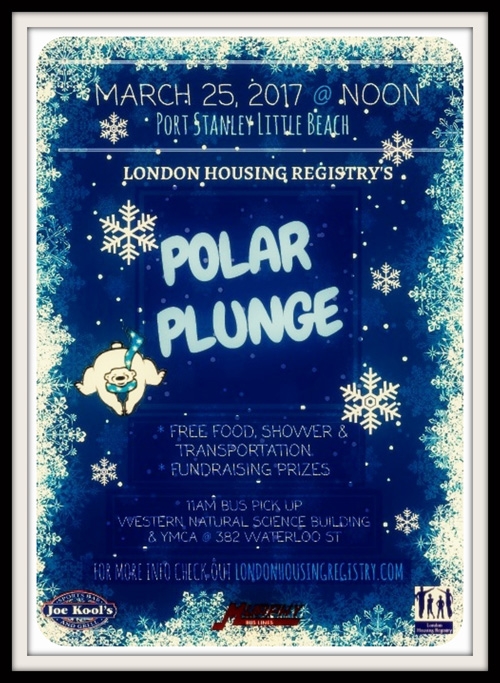 The London Housing Registry- Polar Bear Plunge - image