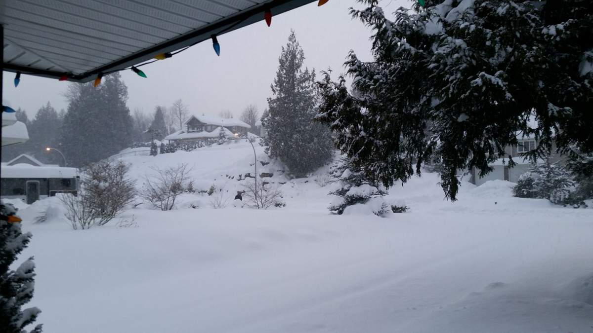 Popkum, east of Chilliwack – Sheilagh Edwards