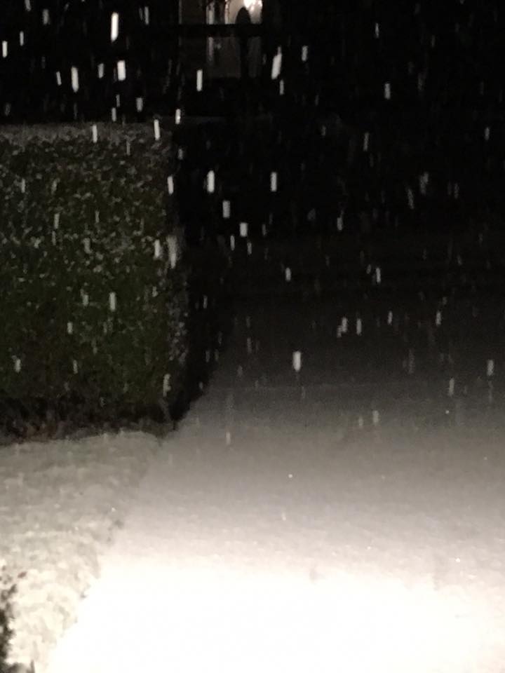 Credit: McGifford Dawn or Larry